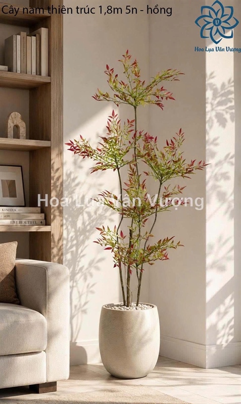 Cây nam thiên trúc 1,8m - Cây - Hoa Lụa Vân Vượng