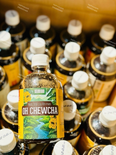 OhChewcha nguyên bản (500ml)