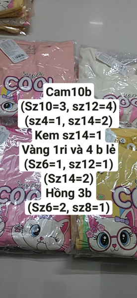 BG ĐŨI IN 4 MÈO SUPER COOL