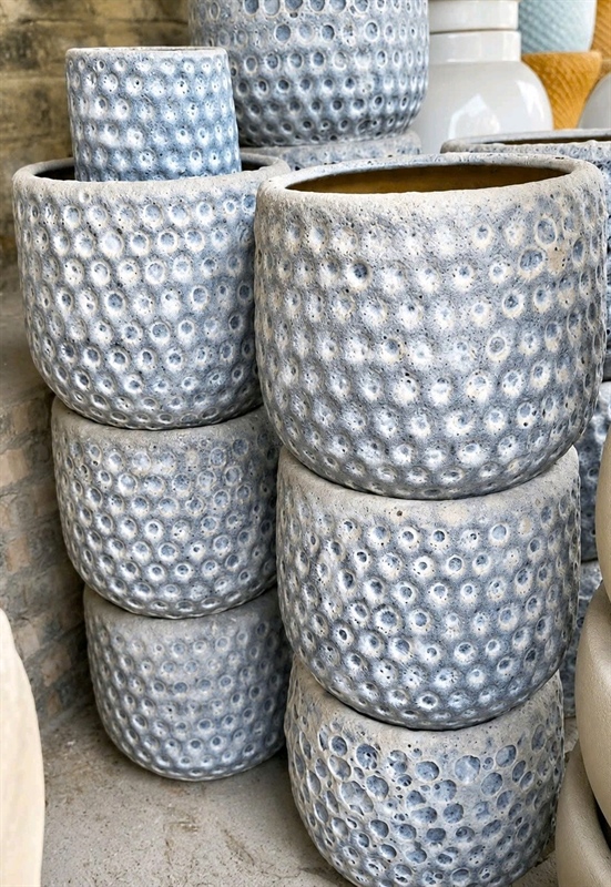 CHẬU BOM TỔ ONG SÔI XANH