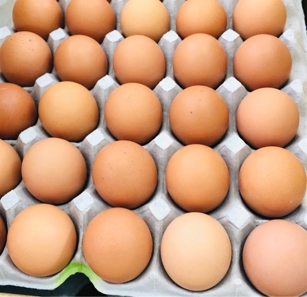 Trứng gà lộn バロット