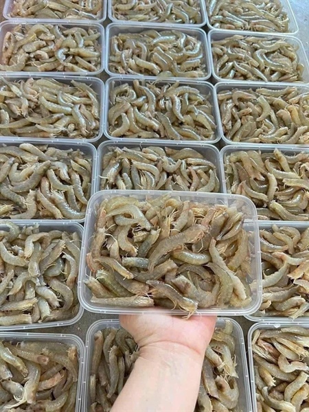 Tôm bạc đất Đông lạnh/バナメイエビ