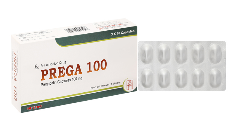 GREGA 100