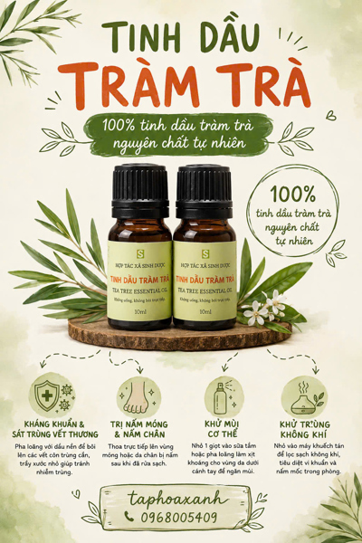 Tinh dầu Tràm Trà (10ml)