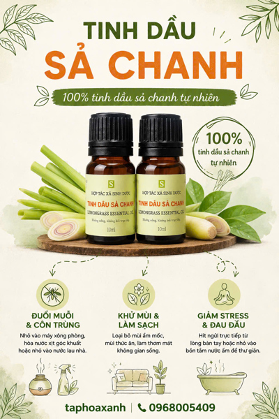 Tinh dầu Sả Chanh (10ml)