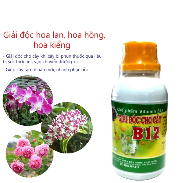 Chế Phẩm Vitamin B12 - Giải Độc Cho Cây Trồng (Do: dùng thuốc quá liều, sốc thời tiết, vận chuyển đường xa) - Chai 100 ml