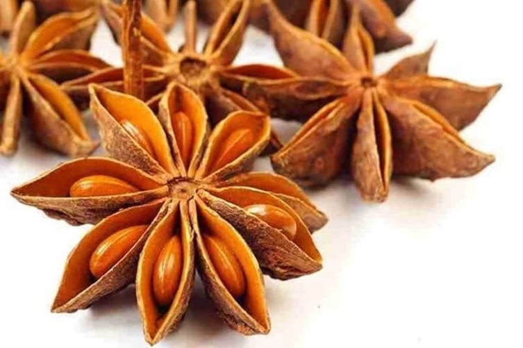 Hoa hồi
