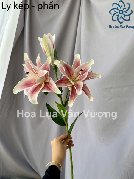 Ly kép - phấn - Hoa cành dài - Hoa Lụa Vân Vượng