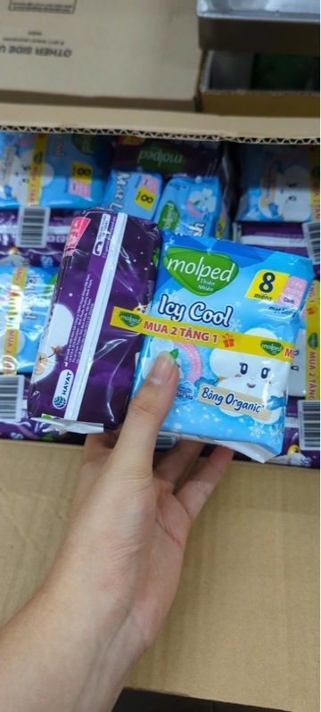 Combo 2 BVS Molped Icy Cool 8M Cánh + 1BVS Molped SBĐ 29cm 4M Cánh
