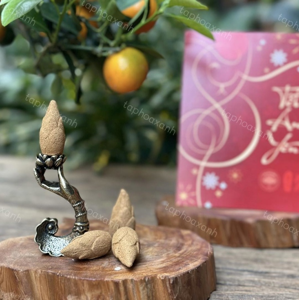 Nụ Bách Xanh (hộp 20 nụ)