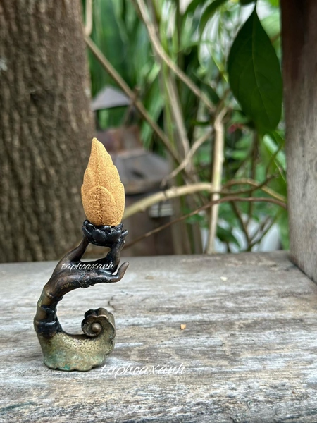 Nụ Ngọc Am (hộp 20 nụ)