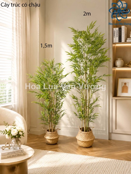 Cây trúc 2m có chậu - Cây - Hoa Lụa Vân Vượng