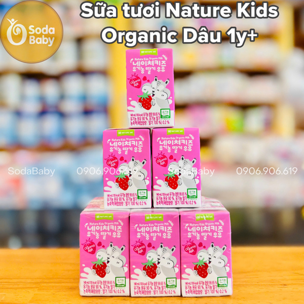Sữa tươi Organic Nature Kids 1y+ - Dâu
