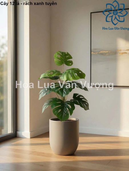 Cây 12 lá - Rách xanh tuyền - Lá cành dài - Hoa Lụa Vân Vượng