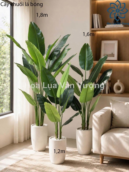 Cây chuối 1,8m lá bóng - Cây - Hoa Lụa Vân Vượng
