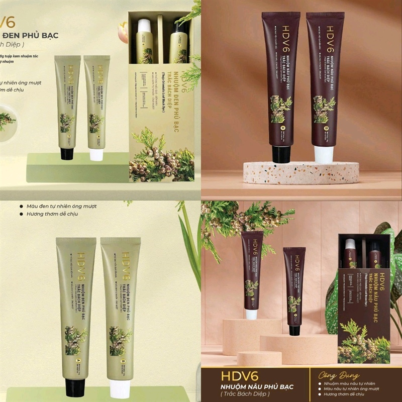 HDV6 nhuộm trắc bách diệp đen và nâu