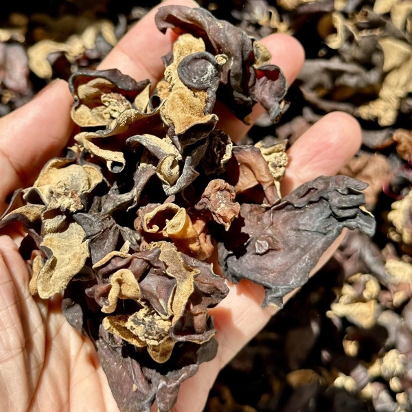 Mộc nhĩ rừng khô 100G