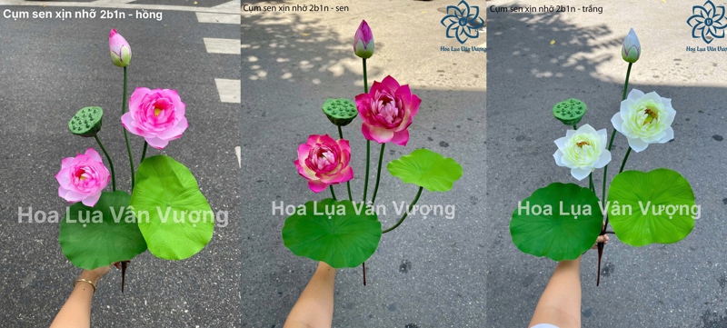 Cụm sen xịn nhỡ 2b1n - Sen - Hoa Lụa Vân Vượng