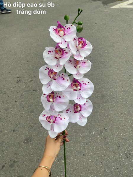 Hồ điệp cao su 9b - trắng đốm - Hồ điệp, lan - Hoa Lụa Vân Vượng