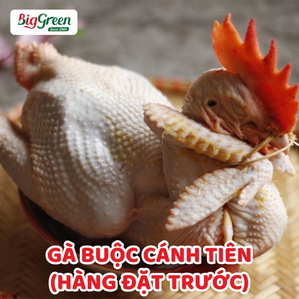 Gà Buộc Cánh Tiên