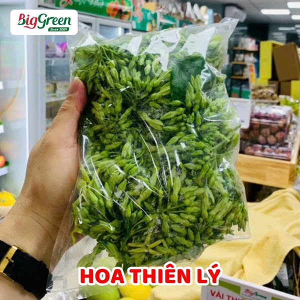 Hoa Thiên Lý