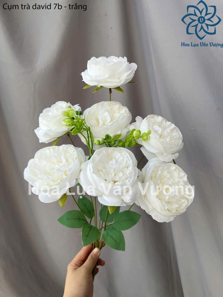 Cụm trà david 7b - trắng - Hoa cành ngắn - Hoa Lụa Vân Vượng