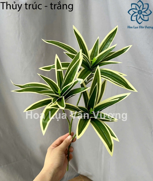 Thủy trúc - Lá cành ngắn - Hoa Lụa Vân Vượng