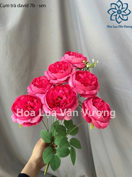 Cụm trà david 7b - sen - Hoa cành ngắn - Hoa Lụa Vân Vượng