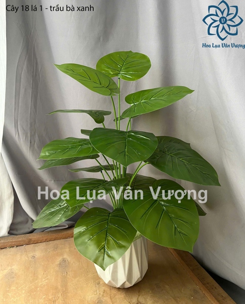 Cây 18 lá 1 - trầu bà xanh - Cây - Hoa Lụa Vân Vượng