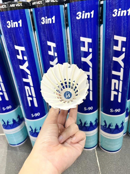Cầu Hải Yến S90