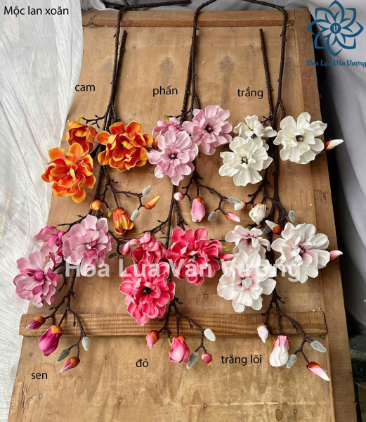 Mộc lan xoăn - Hoa cành dài - Hoa Lụa Vân Vượng