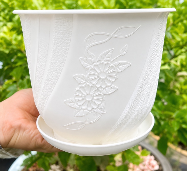 CHẬU BOM CÓ ĐĨA 195