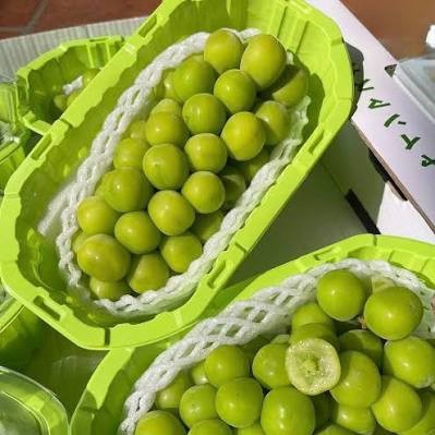 Quả nho tươi đóng hộp Uno 1,8kg