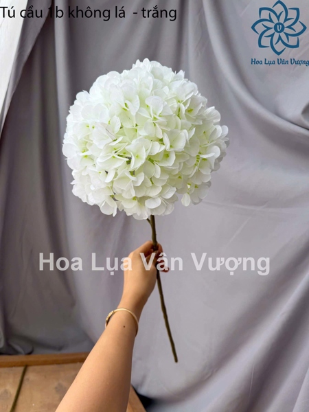 Tú cầu 1b không lá - trắng - Hoa cành dài - Hoa Lụa Vân Vượng