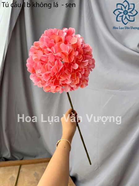 Tú cầu 1b không lá - sen - Hoa cành dài - Hoa Lụa Vân Vượng