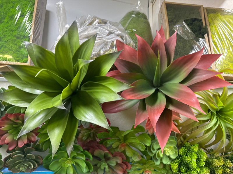Phát tài nam mỹ 40cm - Đỏ - Cây - Hoa Lụa Vân Vượng