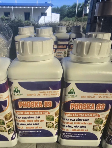 CHIM YẾN LÂN HỮU CƠ Plus (P+) PHOSKA 89