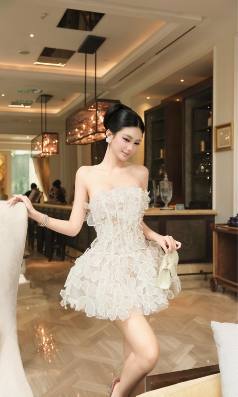 Đầm xoè lưới full hoa nổi 8223