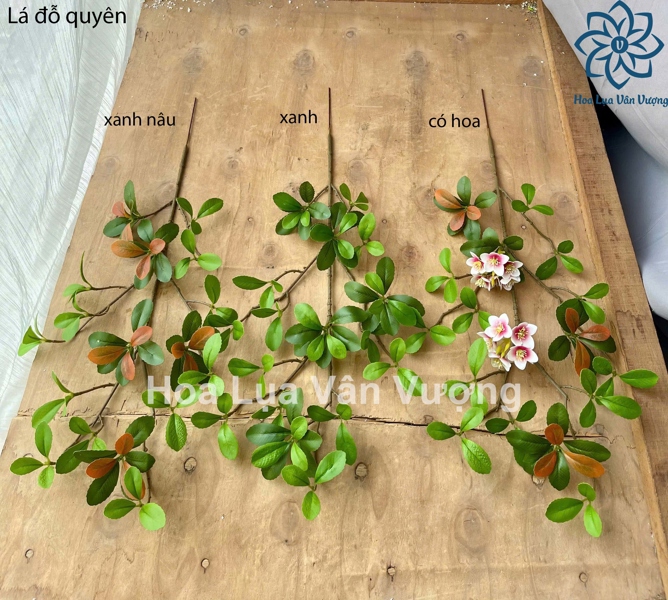 Lá đỗ quyên - Lá cành ngắn - Hoa Lụa Vân Vượng