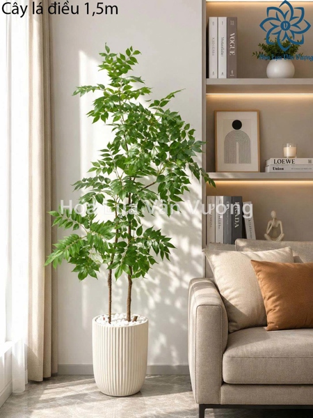 Cây lá điều 1,5m - Cây - Hoa Lụa Vân Vượng
