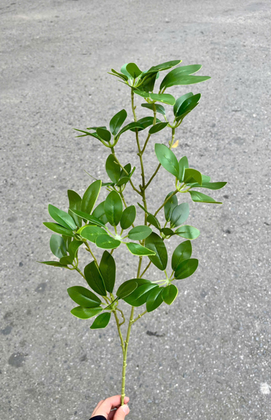 Lá trạng nguyên - Lá cành dài - Hoa Lụa Vân Vượng
