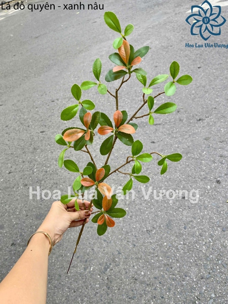 Lá đỗ quyên - xanh nâu - Lá cành ngắn - Hoa Lụa Vân Vượng