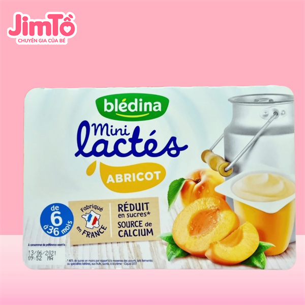 Sữa chua Bledina mini lactes vị xoài đào 6m+