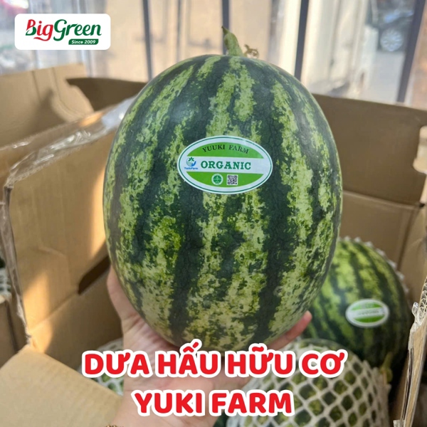Dưa Hấu Hữu Cơ Yuki Farm - Bình Định