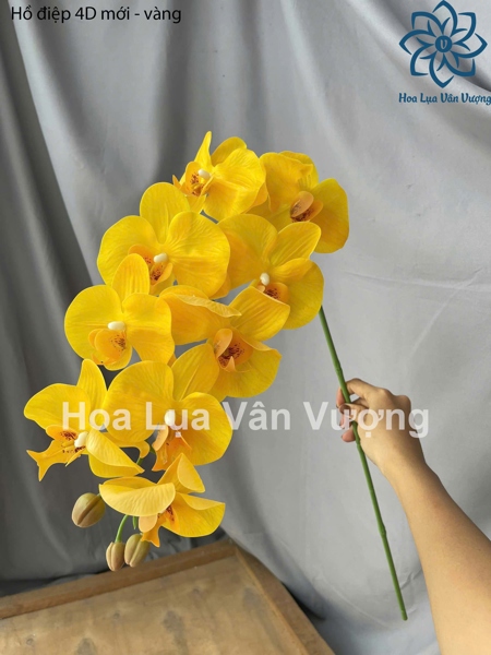 Hồ điệp 4D mới - vàng - Hồ điệp, lan - Hoa Lụa Vân Vượng