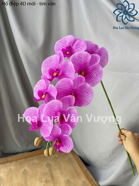 Hồ điệp 4D mới - tím vân - Hồ điệp, lan - Hoa Lụa Vân Vượng