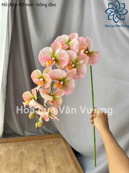 Hồ điệp 4D mới - Hồ điệp, lan - Hoa Lụa Vân Vượng