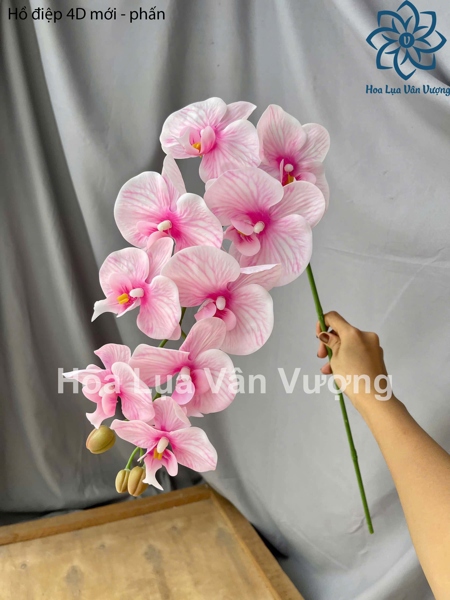 Hồ điệp 4D mới - phấn - Hồ điệp, lan - Hoa Lụa Vân Vượng