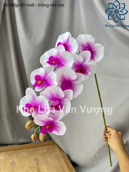 Hồ điệp 4D mới - trắng nhị tím - Hồ điệp, lan - Hoa Lụa Vân Vượng