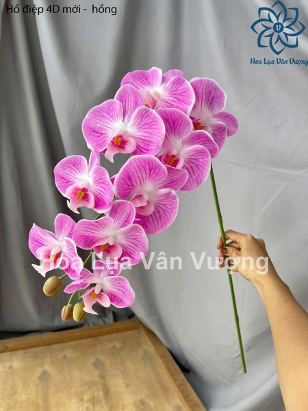 Hồ điệp 4D mới - hồng - Hồ điệp, lan - Hoa Lụa Vân Vượng
